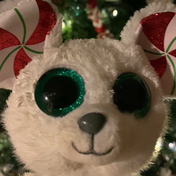 Beanie, boos, white mouse, with peppermint ears name is chimney - Picture 4 of 6